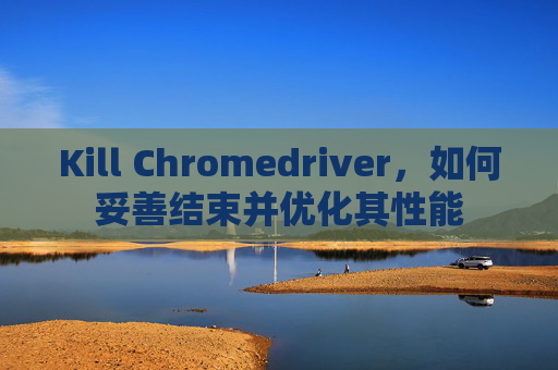 Kill Chromedriver,如何妥善结束并优化其性能 Kill Chromedriver,如何妥善结束并优化其性能
